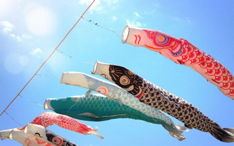 cờ cá chép koinobori cờ cá chép koinobori